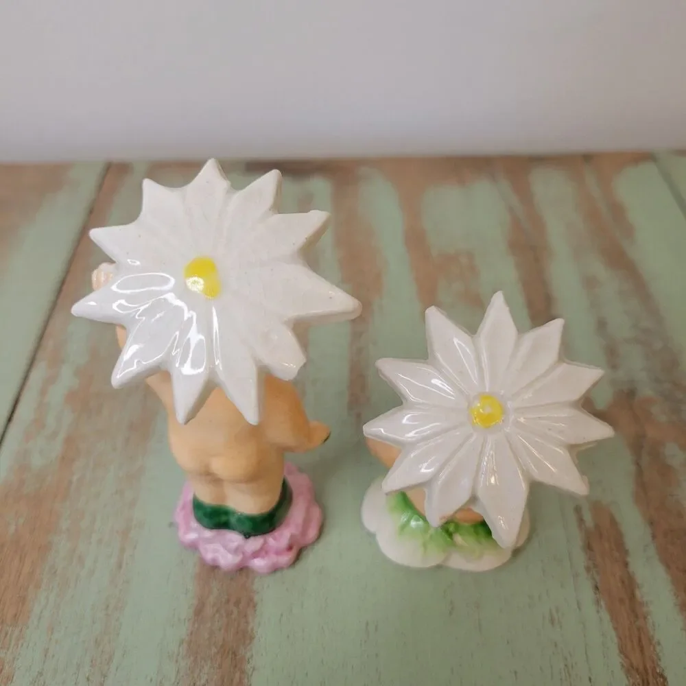 N/A kewpie daisy